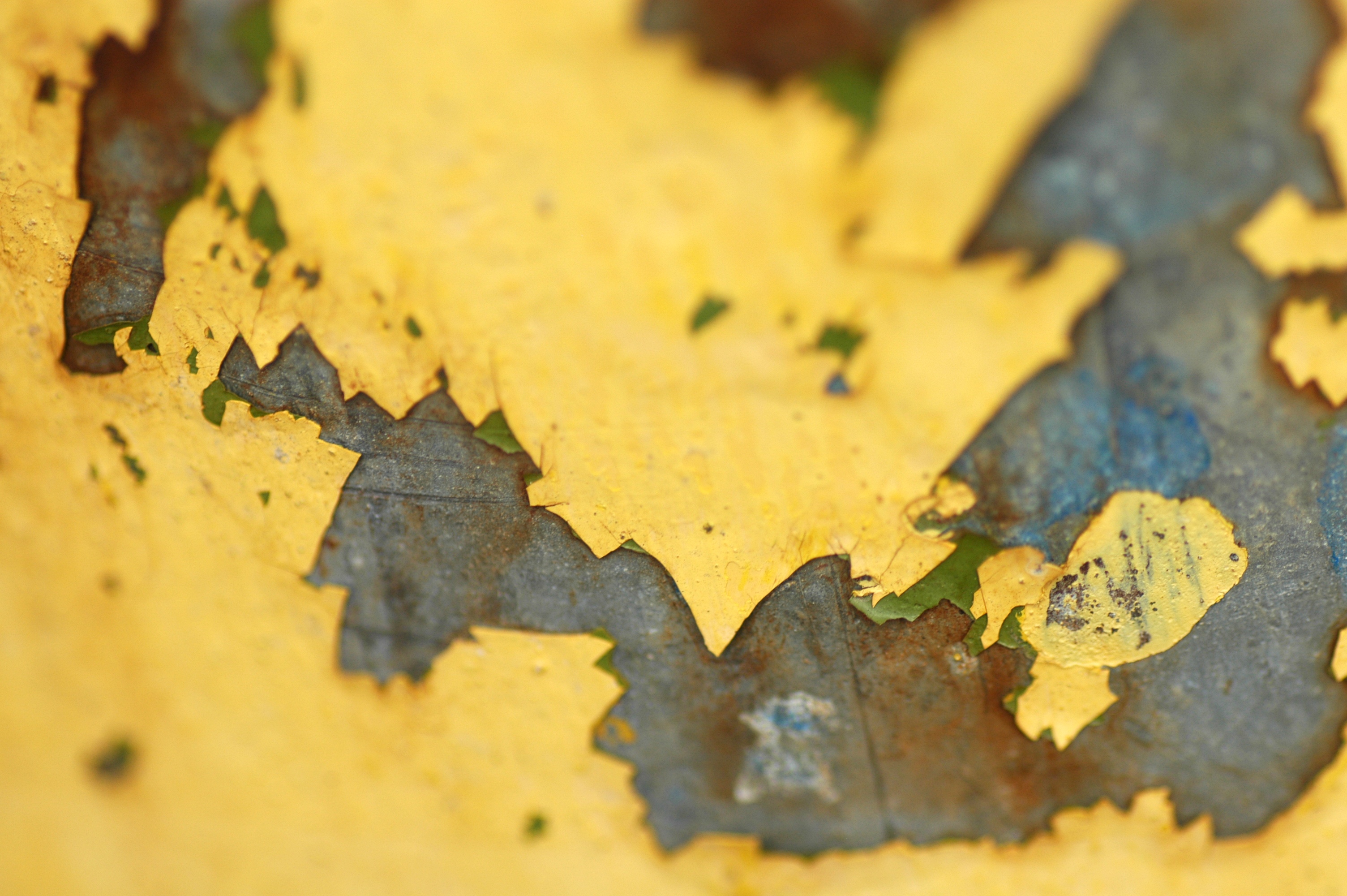 Lead Inspection NORCAL Environmental Management, Inc. Sacramento